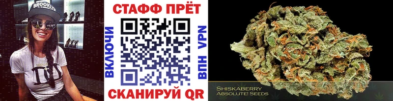Бошки Шишки Дедовск