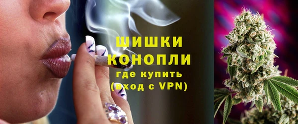 амф Карпинск