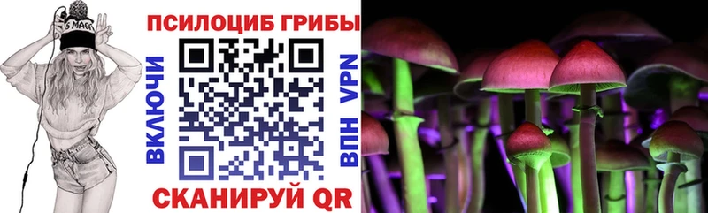 Купить закладки  Дедовск  Галлюциногенные грибы Magic Shrooms 